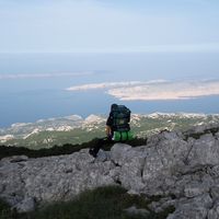 Slika profila Gogo Gold